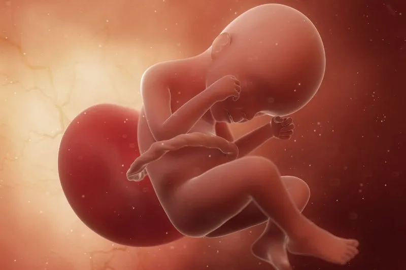 dziecko 24 tydzień ciąży wygląd twarz skóra