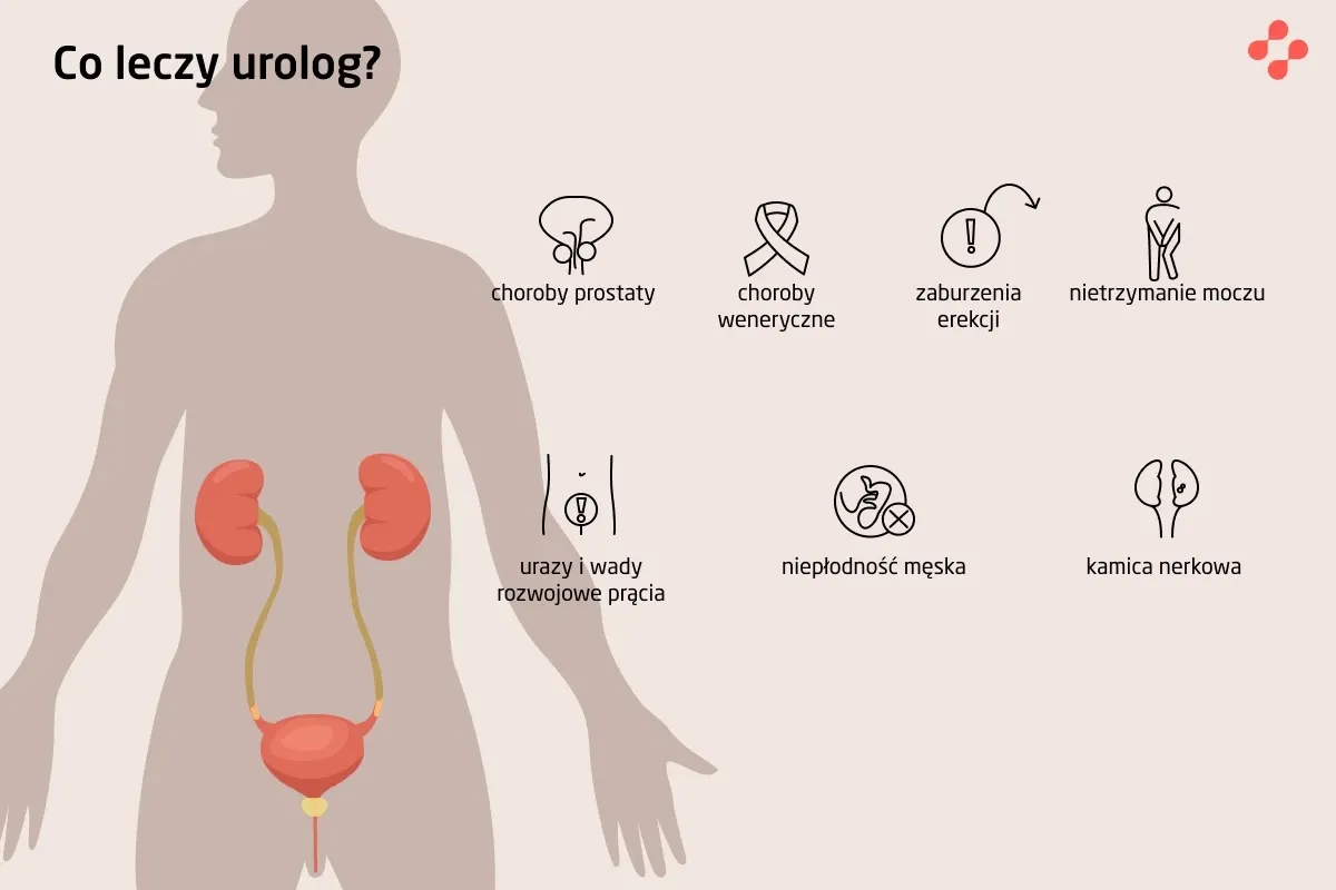 najczęstsze choroby urologiczne infografika