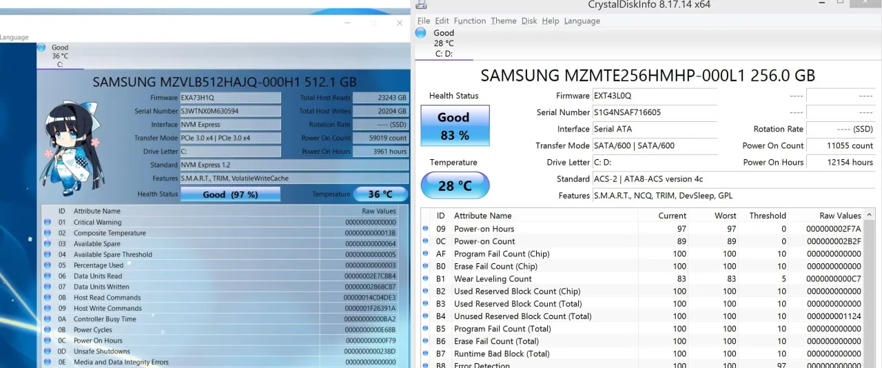 crystaldiskinfo total host writes