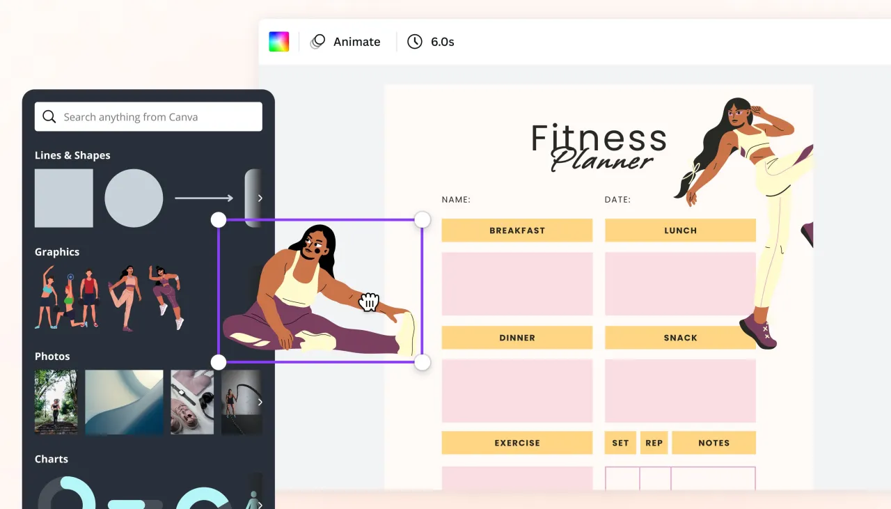 generator rozkładu materiału online