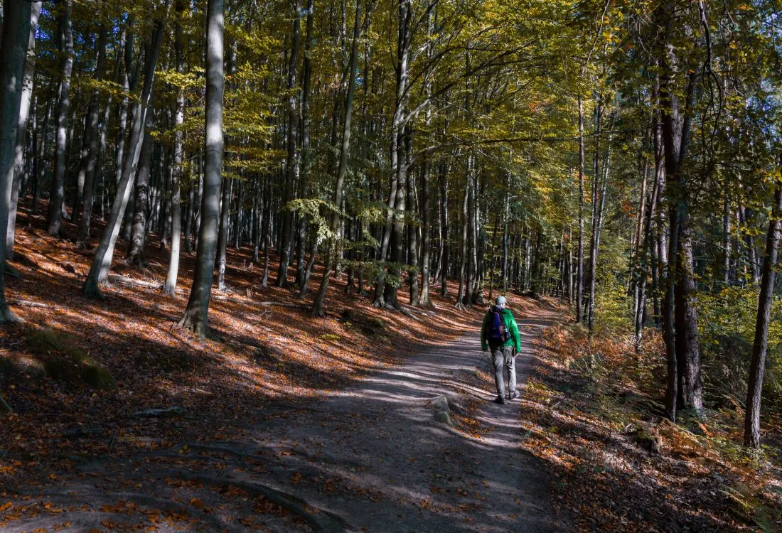 Wandern Dammer Berge