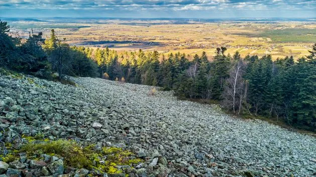Krajobraz Gór Świętokrzyskich, widok na gołoborza i las