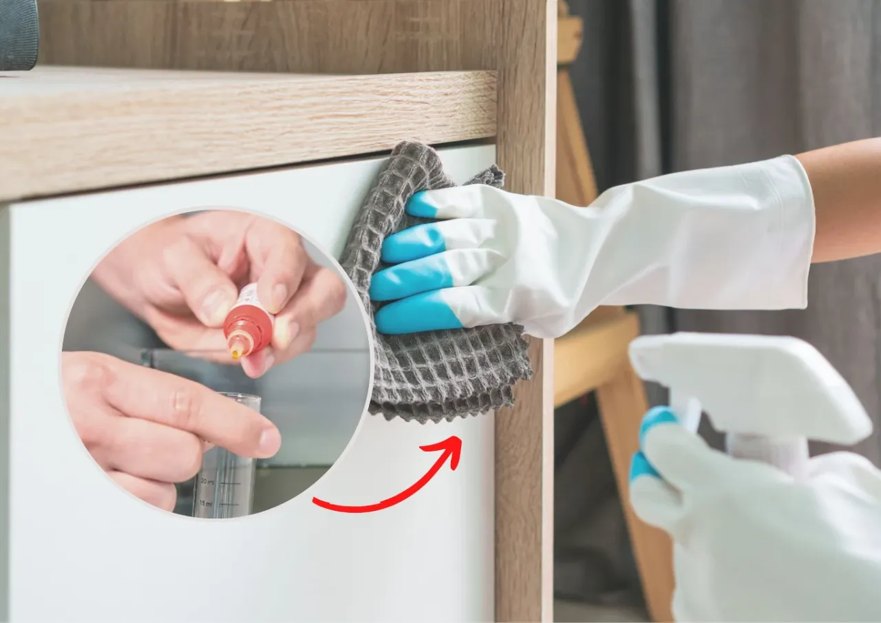 Czyszczenie szafek po szkodnikach