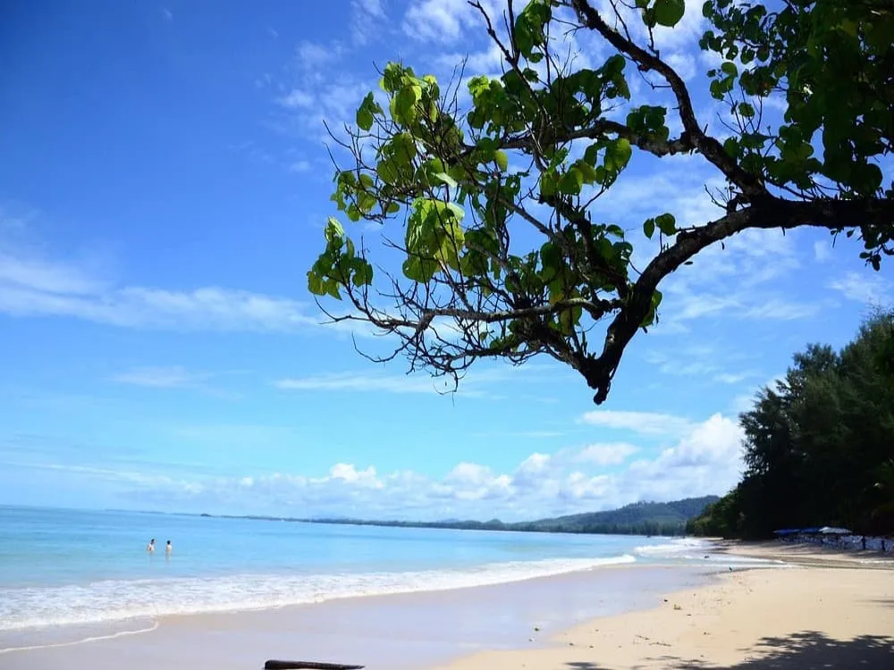 Khao Lak White Sand Beach palmy