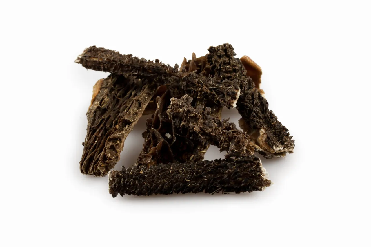 żwacze wołowe dla psa