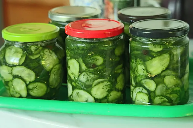 ogórki kiszone w słoikach z czosnkiem i koprem