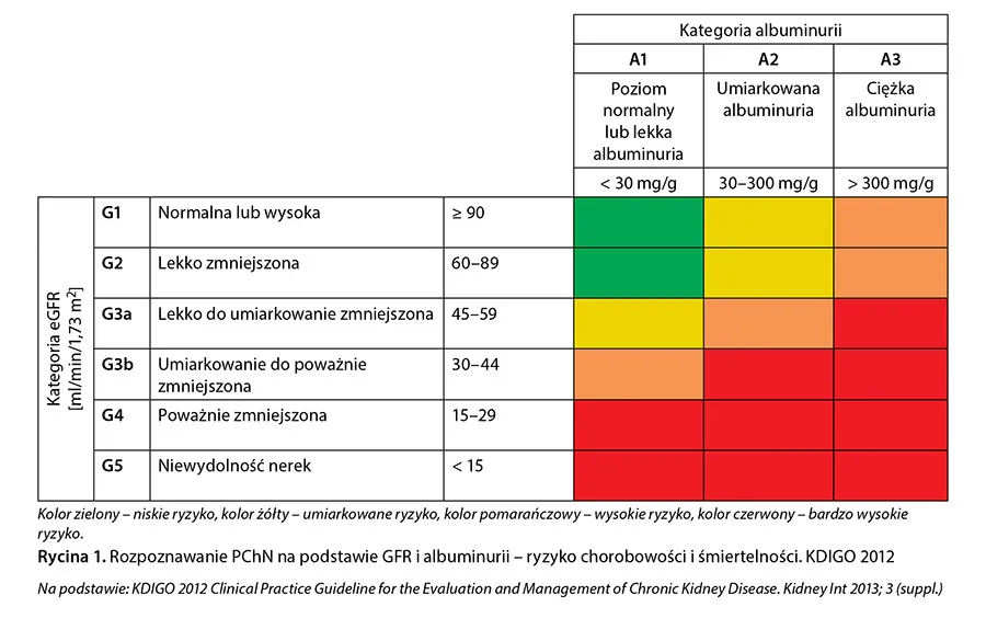 przewlekła choroba nerek statystyki