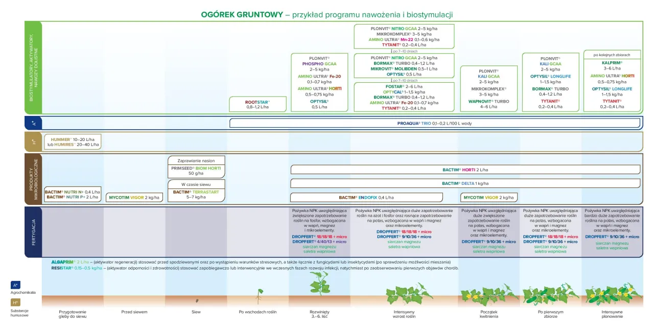 Schemat nawożenia i biostymulacji dla uprawy og&oacute;rk&oacute;w gruntowych, obejmujący r&oacute;żne fazy wzrostu roślin i rodzaje preparat&oacute;w.