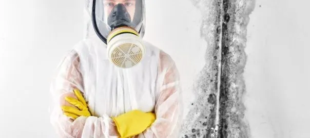 Osoba w masce i rękawicach usuwająca grzyb ze ściany