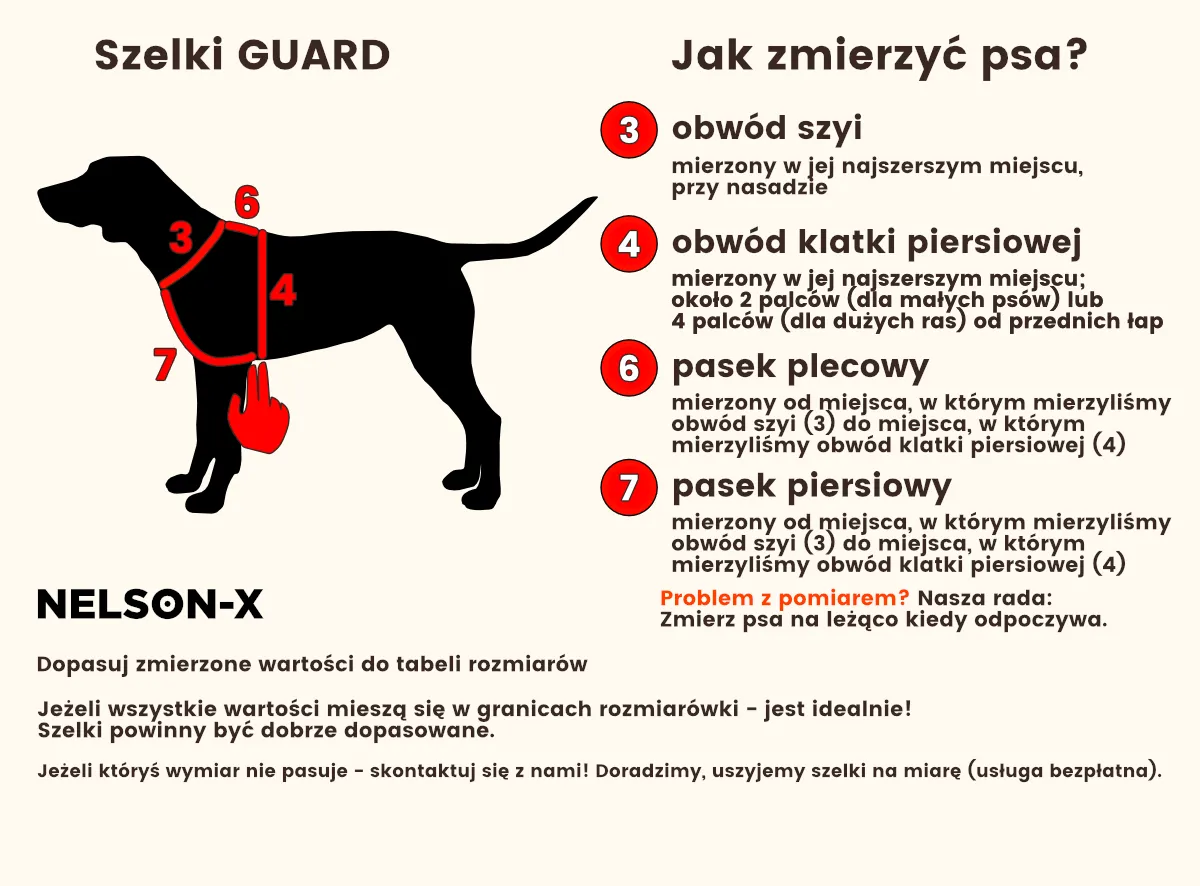 Ilustracja pokazuje, jak zmierzyć psa do szelek GUARD. Wskazówki dotyczące obwodu szyi, klatki piersiowej i pasków pomogą dobrać idealny puszorek dla psa.