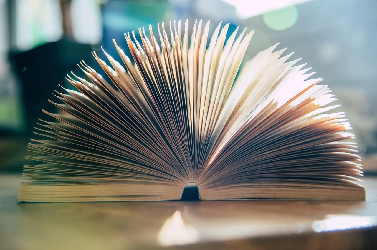 Przykłady r&oacute;żnorodnych tekst&oacute;w kultury: książka, kadr z filmu, obraz, mem