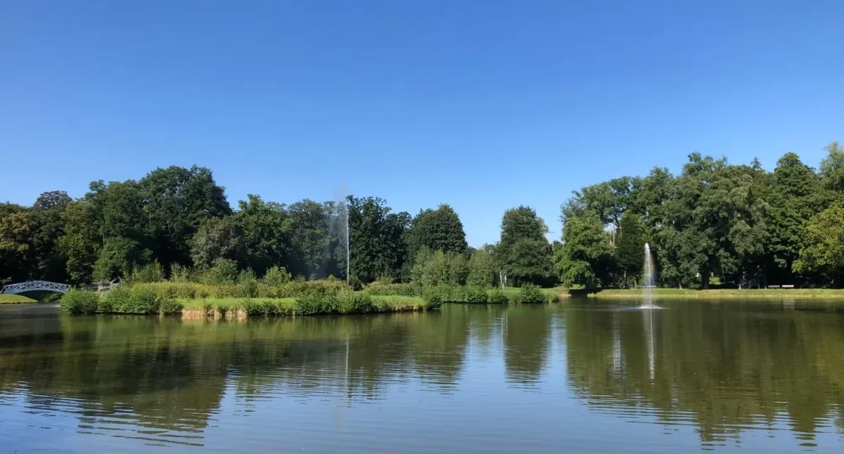 Park Miejski Brzeg Dolny stawy