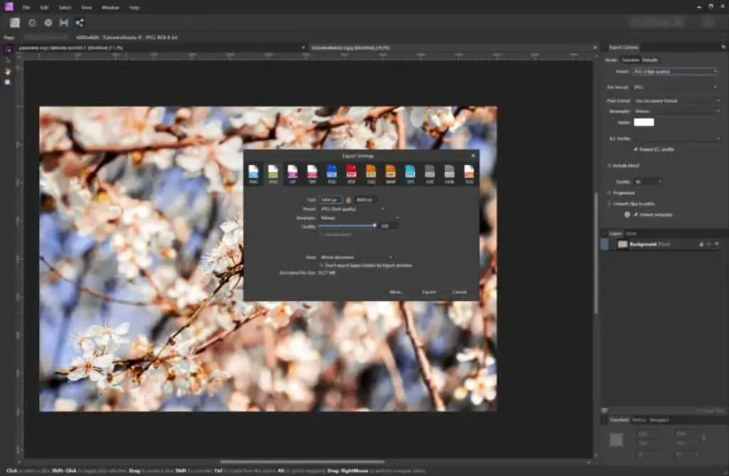 ikony program&oacute;w GIMP Affinity Photo Photopea
