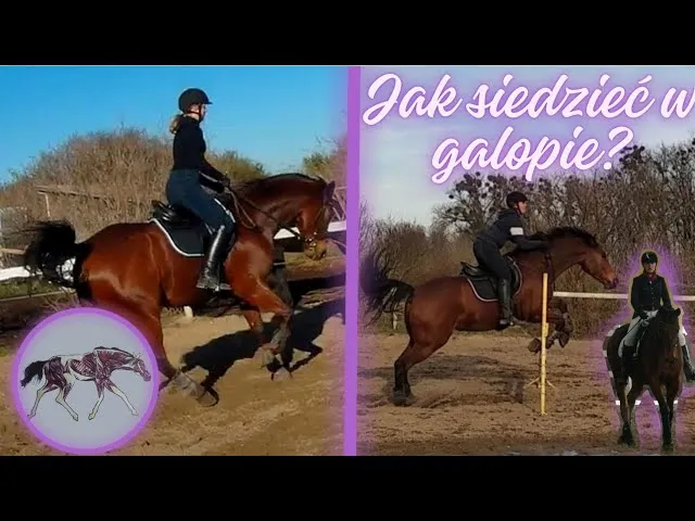 koń w galopie jeździec wolność