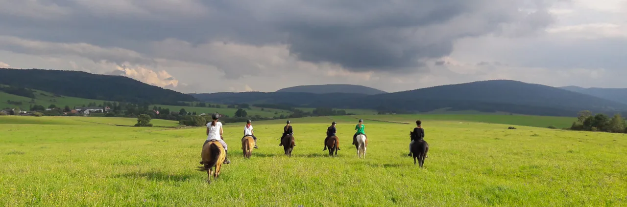 obóz jeździectwa naturalnego w Polsce krajobraz