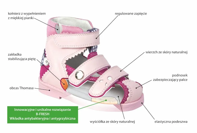 budowa obcasa thomasa schemat