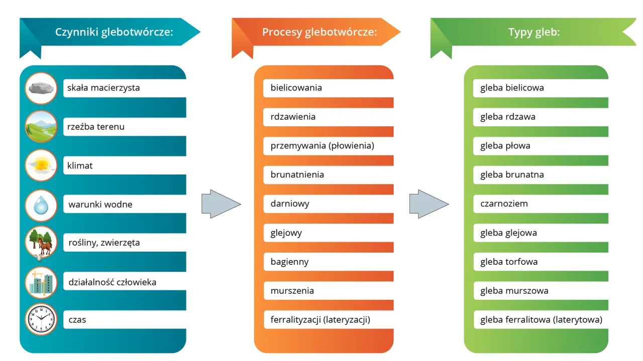 czynniki glebotwórcze infografika