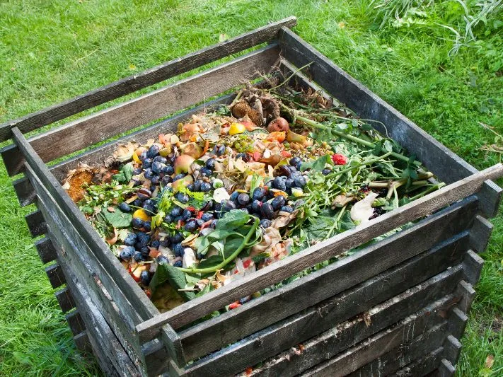Zdjęcie Jak zrobić dobry kompost w ogrodzie: wszystko o przygotowaniu nawozu