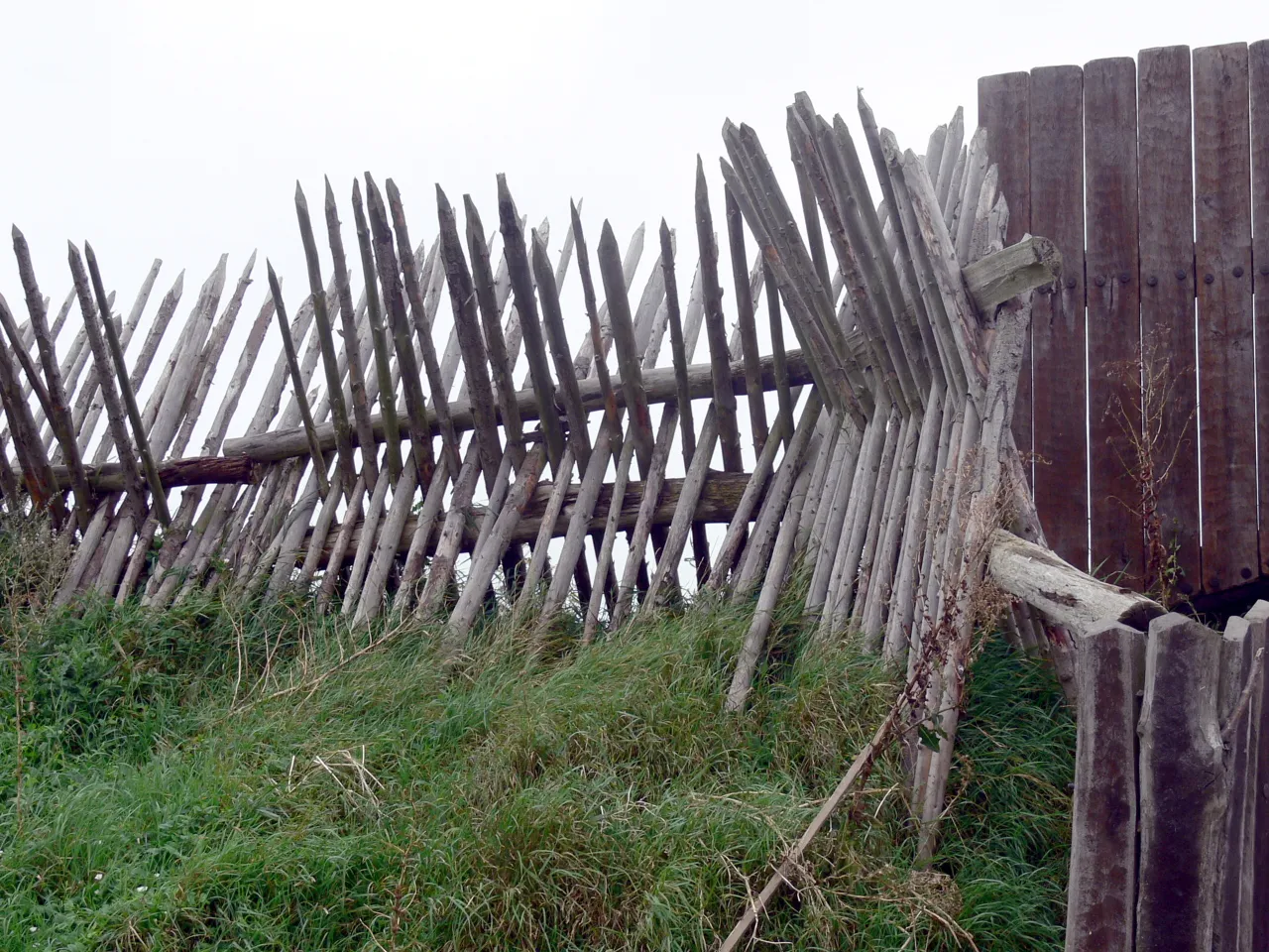 r&oacute;żnice między płotem a ostrokołem