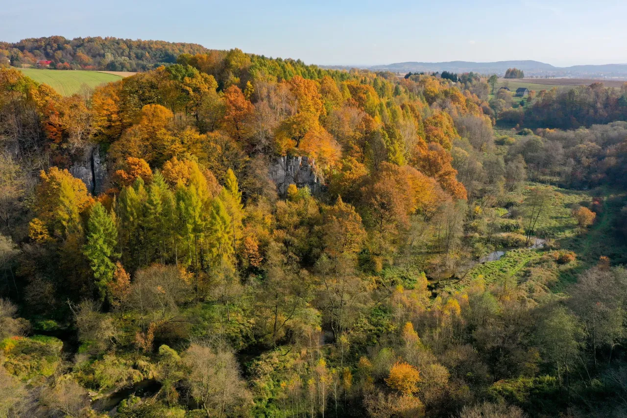 Rudniański Park Krajobrazowy krajobraz skały las