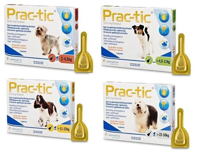 różne rodzaje preparatów na kleszcze dla psa