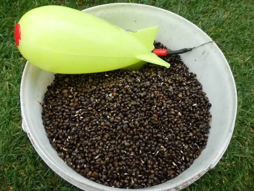 wędkarz dodaje kwas masłowy do zanęty