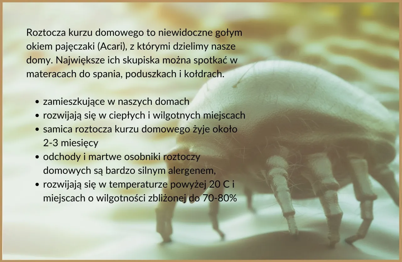 dom wolny od alergenów roztoczy