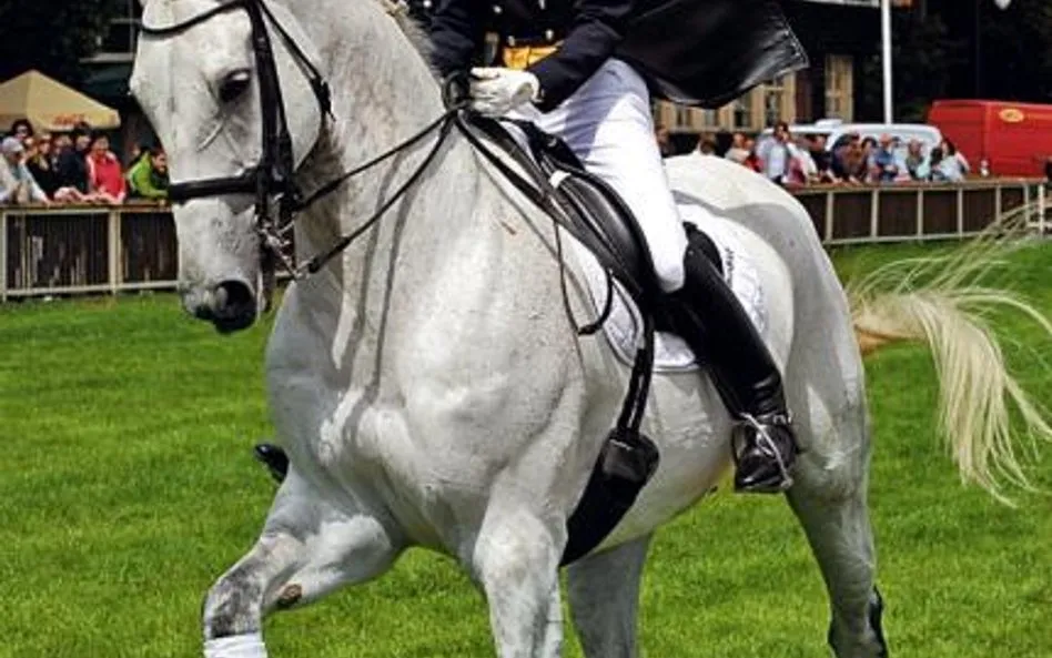 Jeździec i koń w harmonii na zawodach