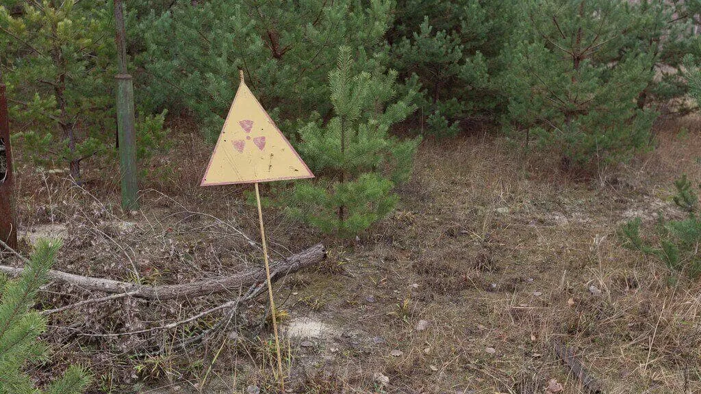 Czerwony Las Czarnobyl