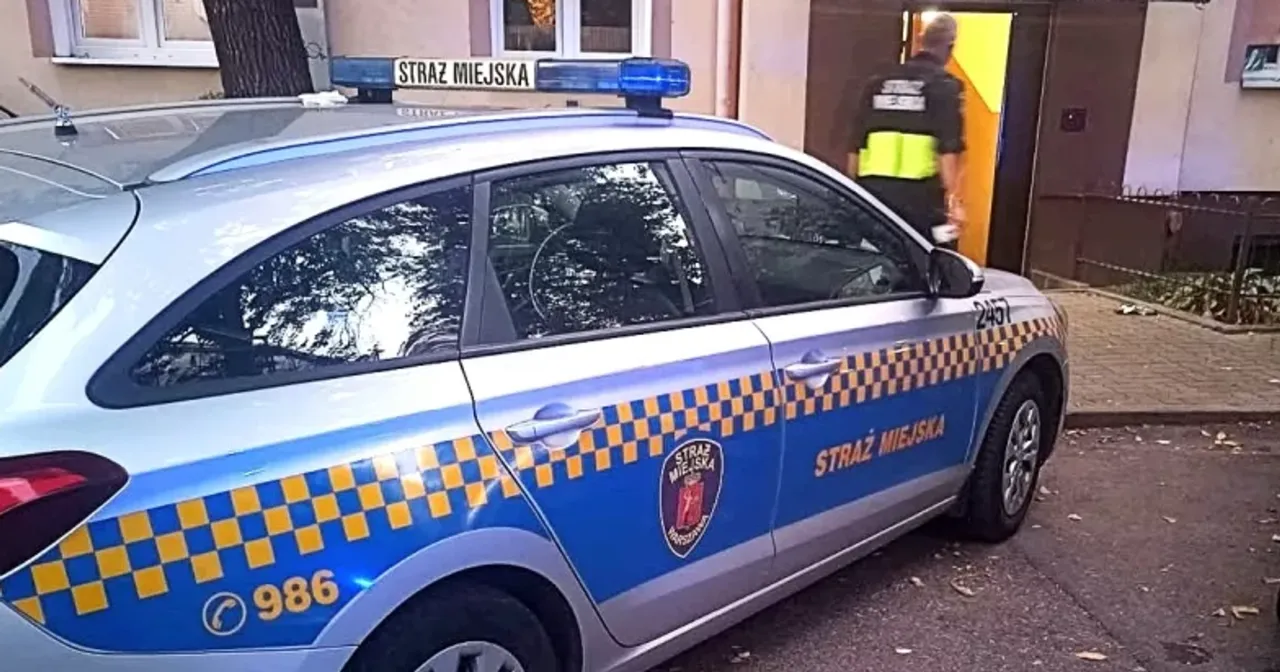 straż miejska policja interwencja