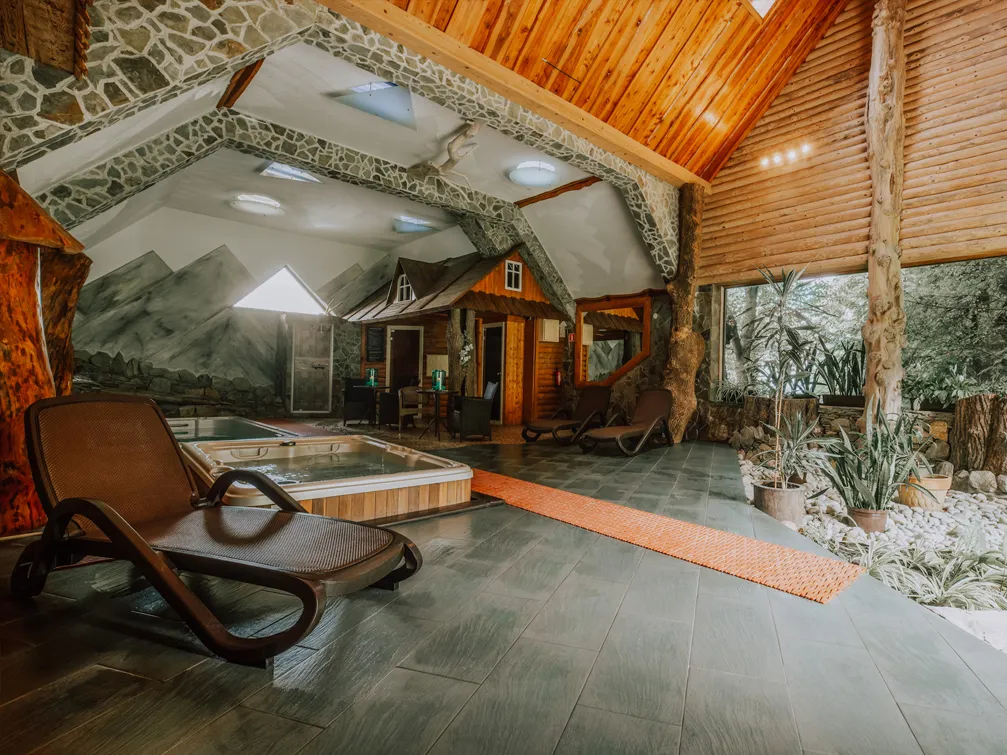 Bac&oacute;wka Biały Jeleń strefa wellness basen