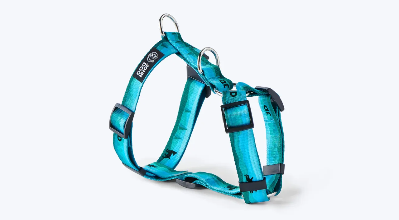 szelki guard dla szczeniaka, smycz klasyczna pies