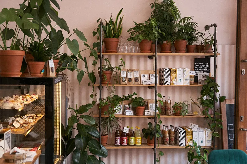 Kawa i ciastko w klimatycznej kawiarni w Szczecinie