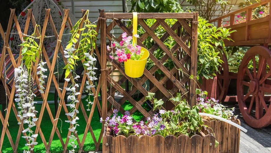 duże donice na taras, pergole na pnącza