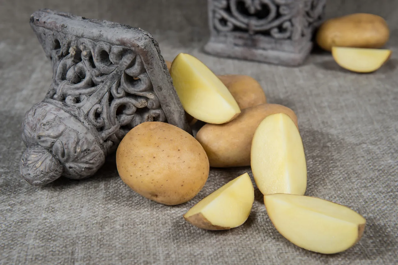 r&oacute;żne typy ziemniak&oacute;w przekr&oacute;j