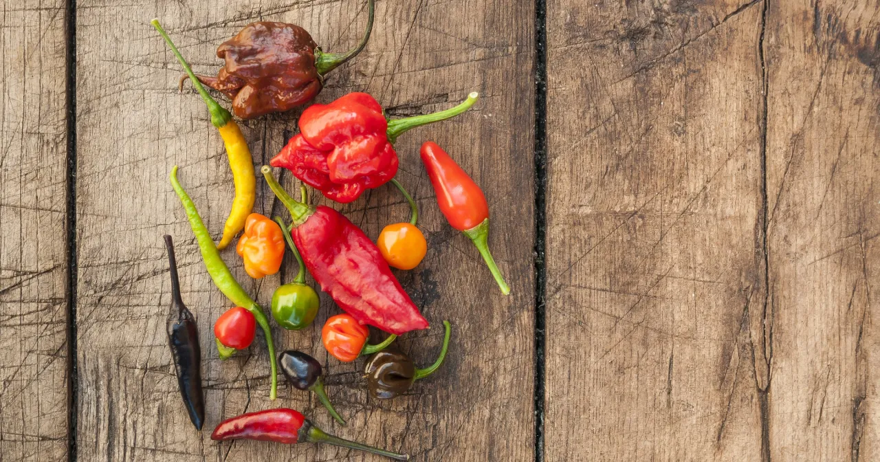 Rodzaje papryczek chili Cayenne Serrano Jalapeño Habanero