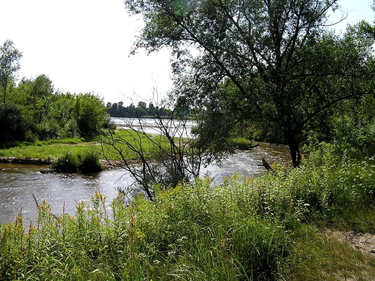 rezerwat przyrody Świder