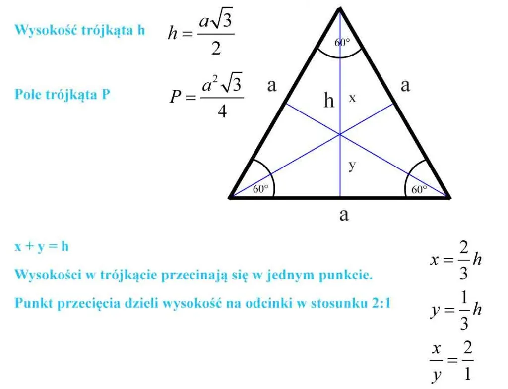 Zdjęcie Wysokość w trójkącie - co to jest i jak ją obliczyć?