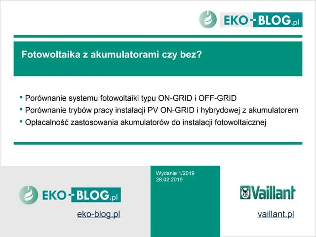Zdjęcie Fotowoltaika z akumulatorami czy bez – co wybrać, by oszczędzić i uniknąć strat?