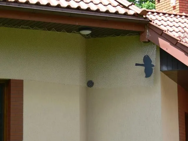 Zdjęcie Skuteczne sposoby czym zabezpieczyć boazerię: 5 sprawdzonych metod ochrony
