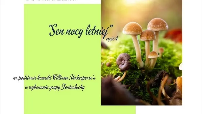 Zdjęcie Imiennik autora Snu nocy letniej: 5 sławnych Williamów