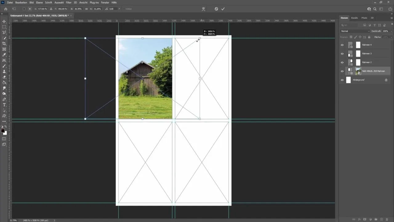 Zdjęcie Jak zrobić kolaż w Photoshopie - proste kroki dla początkujących