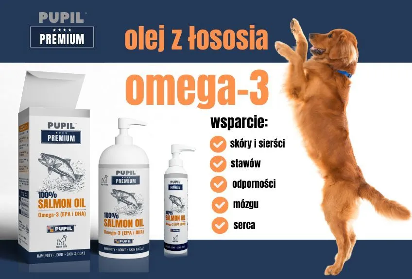 Zdjęcie Olej z łososia dla psa od jakiego wieku - ważne informacje dla właścicieli