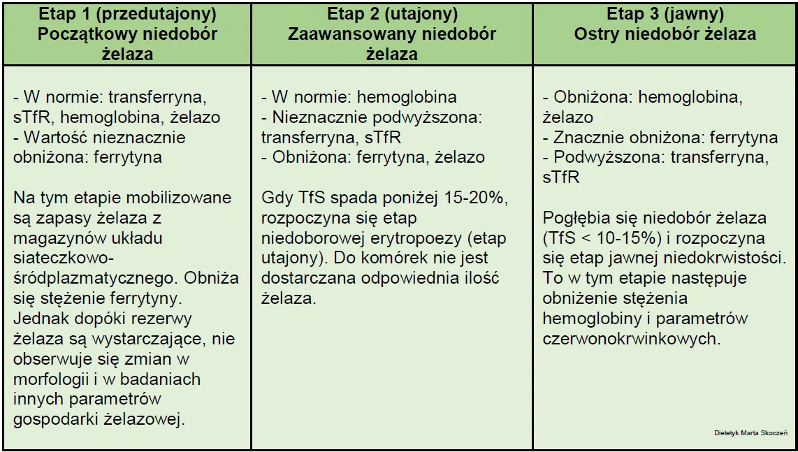 Zdjęcie Kiedy udać się do lekarza z wysoką ferrytyną? Lista specjalistów i fakty