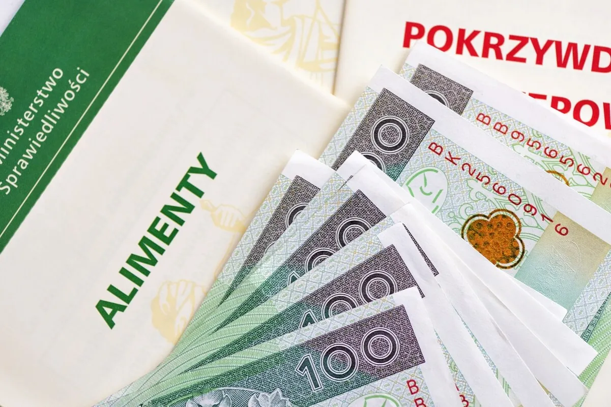 Zdjęcie Jakie zaświadczenie od komornika do funduszu alimentacyjnego potrzebujesz?