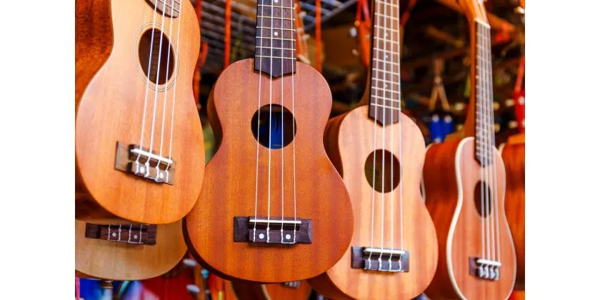 Zdjęcie Ukulele tenorowe czy koncertowe: Które wybrać? Porównanie
