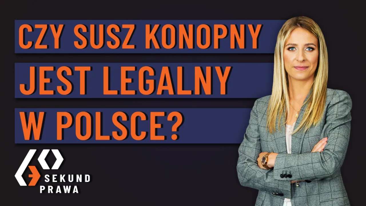 Zdjęcie Susz konopny czy jest legalny? Kluczowe informacje i przepisy w Polsce