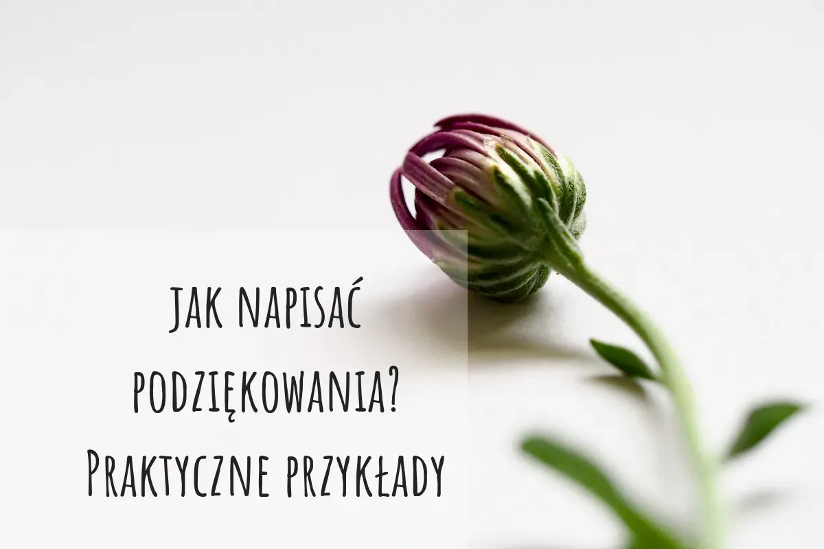 Zdjęcie Jak napisać podziękowanie dla weterynarza i wyrazić wdzięczność