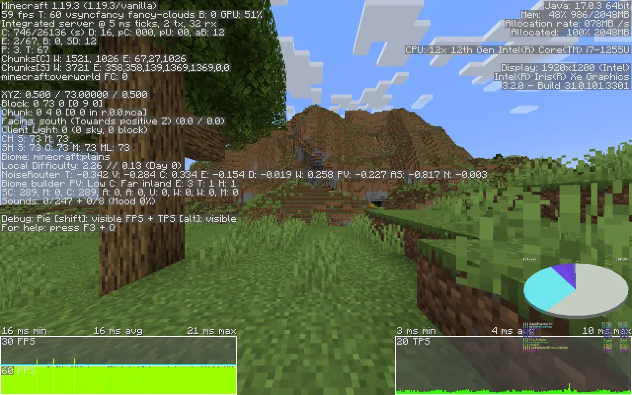 Minecraft F3 F4 menu