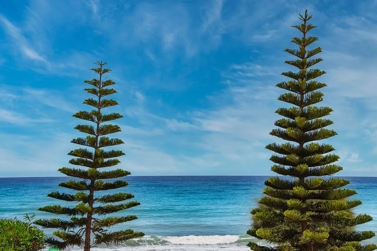 tabela porównująca ceny hoteli pensjonatów apartamentów nad morzem